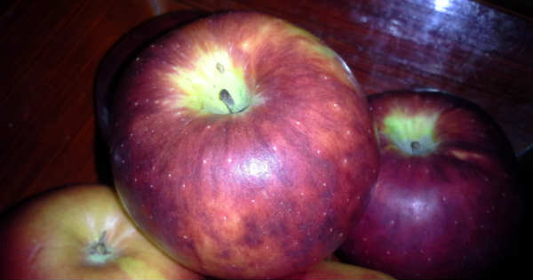 Apple_600